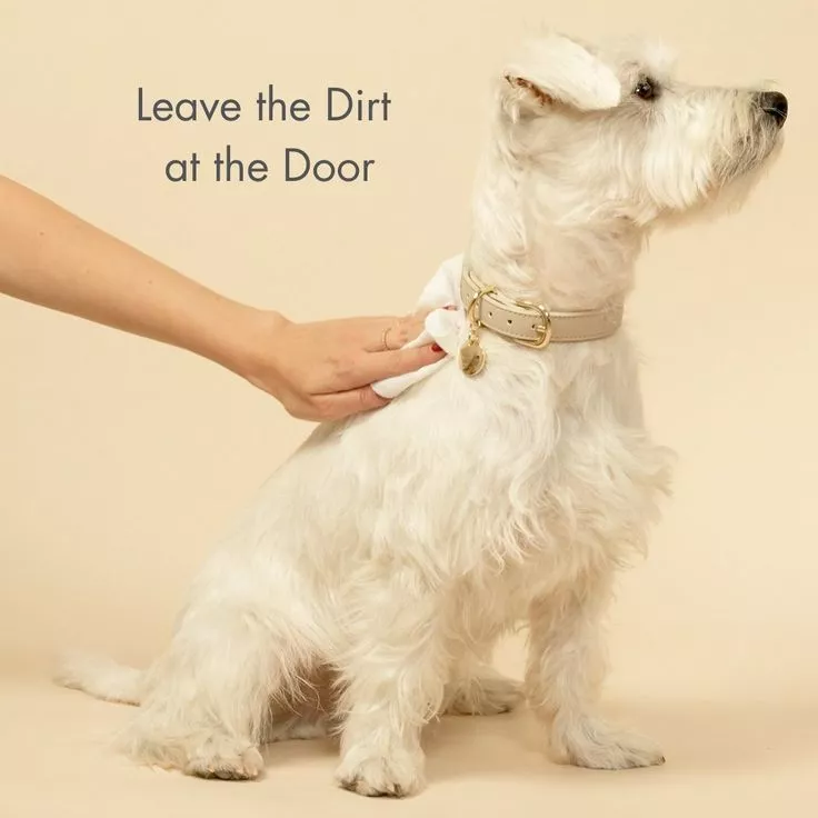 Are pet wipes for dogs safe for pets?