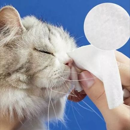 Pet wipe cloth ：Gadgets for pet hygiene care