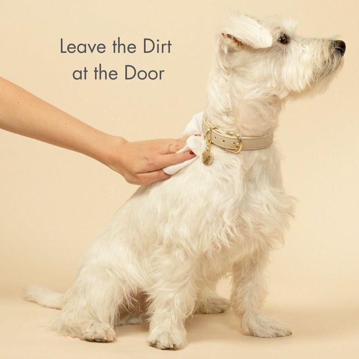New Upgrade Pet Wipes Cleaning Wipes！
