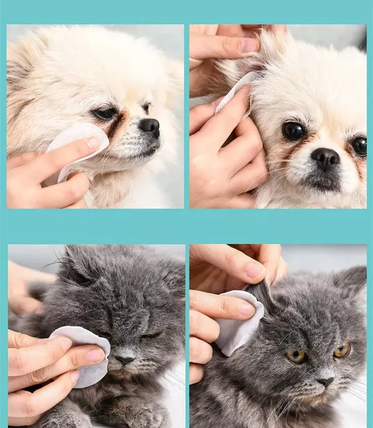 Why pet ear wipes for dogs for dogs are Ideal for Ear Cleaning